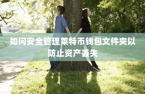 如何安全管理莱特币钱包文件夹以防止资产丢失