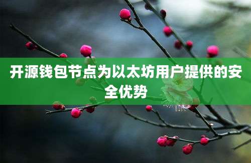 开源钱包节点为以太坊用户提供的安全优势
