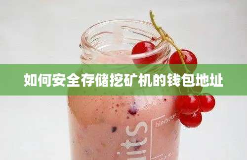 如何安全存储挖矿机的钱包地址