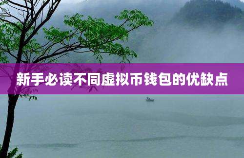 新手必读不同虚拟币钱包的优缺点