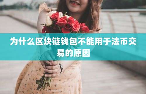 为什么区块链钱包不能用于法币交易的原因
