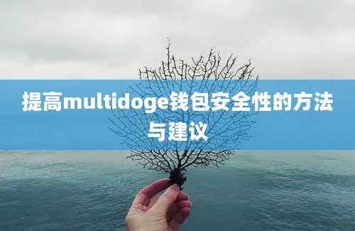 提高multidoge钱包安全性的方法与建议