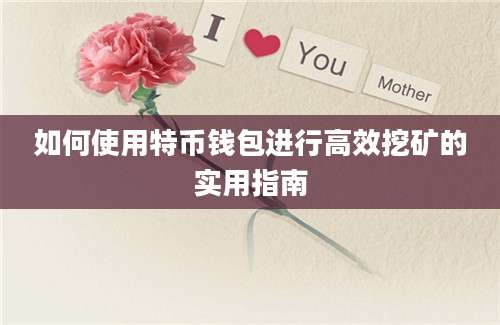 如何使用特币钱包进行高效挖矿的实用指南