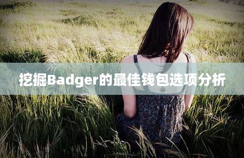 挖掘Badger的最佳钱包选项分析