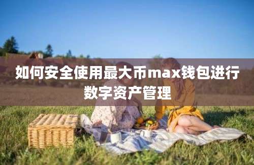 如何安全使用最大币max钱包进行数字资产管理