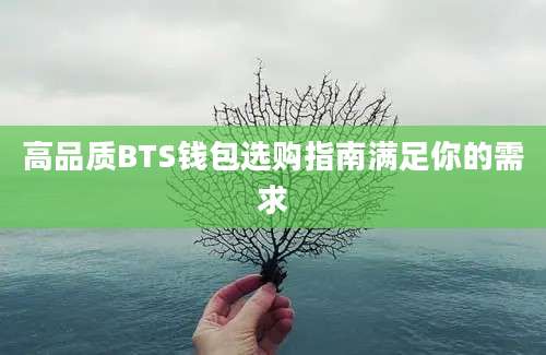 高品质BTS钱包选购指南满足你的需求