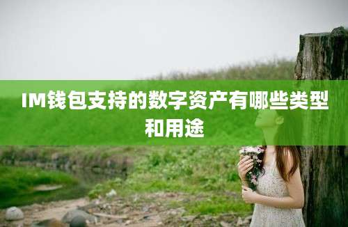 IM钱包支持的数字资产有哪些类型和用途