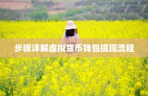 步骤详解虚拟货币钱包提现流程