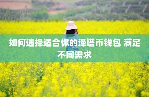 如何选择适合你的泽塔币钱包 满足不同需求