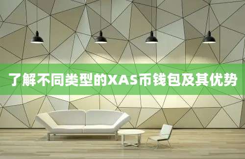 了解不同类型的XAS币钱包及其优势