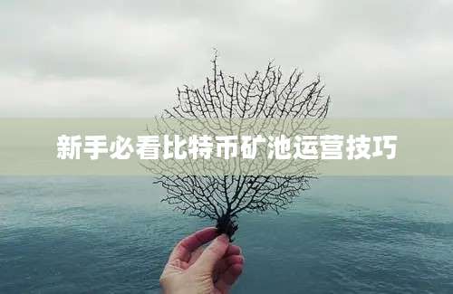 新手必看比特币矿池运营技巧
