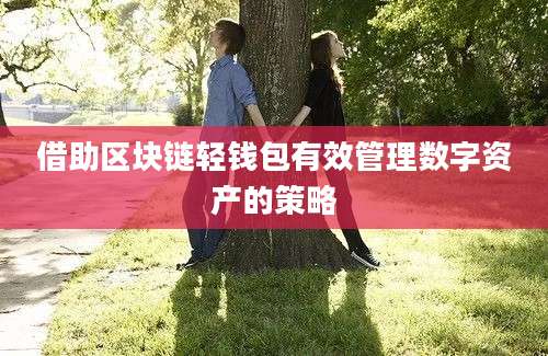 借助区块链轻钱包有效管理数字资产的策略