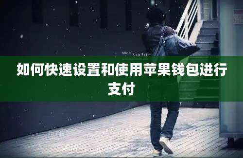 如何快速设置和使用苹果钱包进行支付