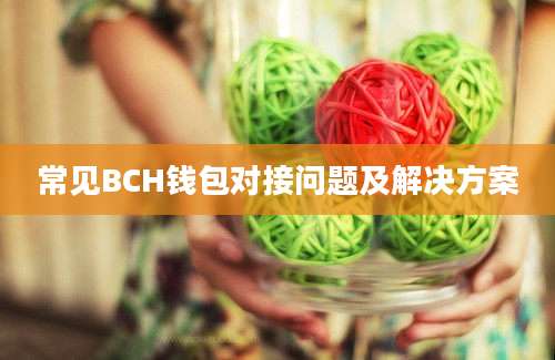 常见BCH钱包对接问题及解决方案