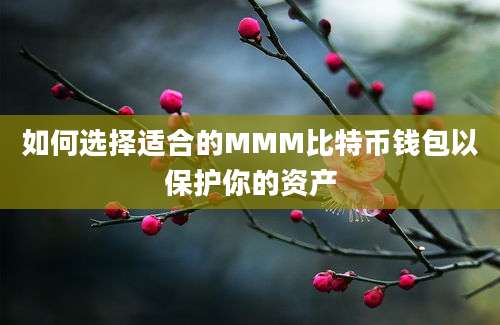 如何选择适合的MMM比特币钱包以保护你的资产
