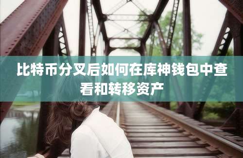比特币分叉后如何在库神钱包中查看和转移资产