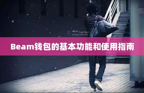 Beam钱包的基本功能和使用指南