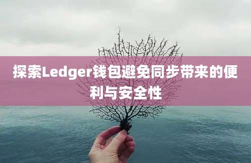 探索Ledger钱包避免同步带来的便利与安全性