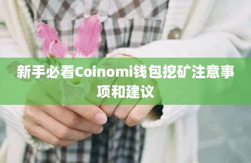 新手必看Coinomi钱包挖矿注意事项和建议
