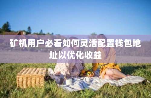 矿机用户必看如何灵活配置钱包地址以优化收益