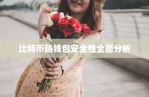 比特币热钱包安全性全面分析