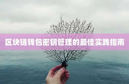 区块链钱包密钥管理的最佳实践指南