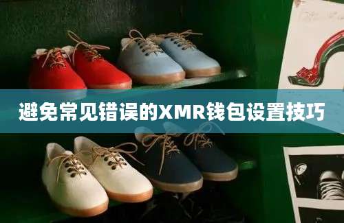 避免常见错误的XMR钱包设置技巧