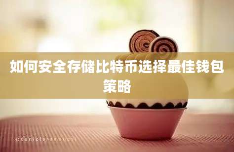 如何安全存储比特币选择最佳钱包策略