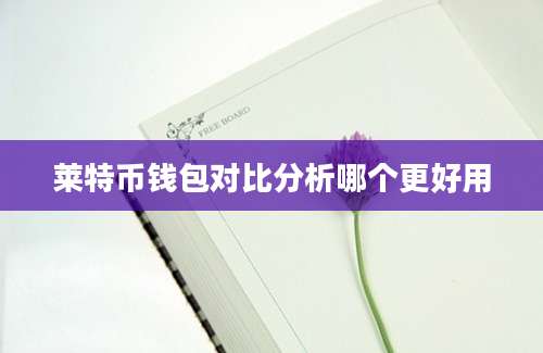 莱特币钱包对比分析哪个更好用