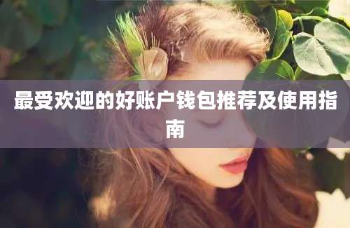 最受欢迎的好账户钱包推荐及使用指南