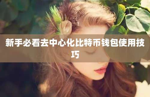 新手必看去中心化比特币钱包使用技巧