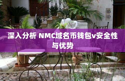 深入分析 NMC域名币钱包v安全性与优势