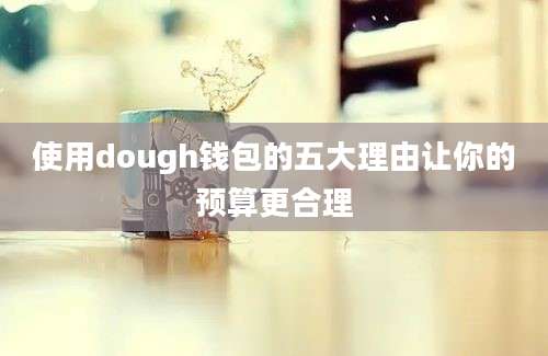 使用dough钱包的五大理由让你的预算更合理