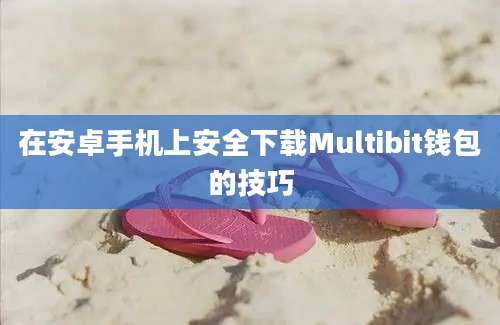 在安卓手机上安全下载Multibit钱包的技巧