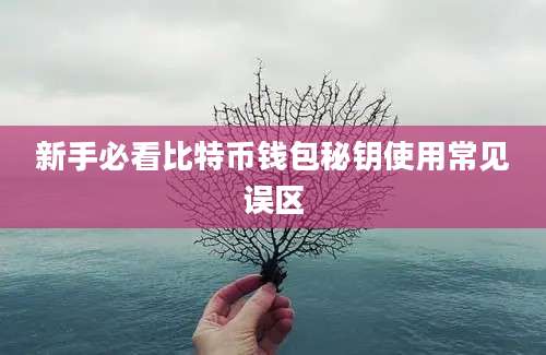 新手必看比特币钱包秘钥使用常见误区