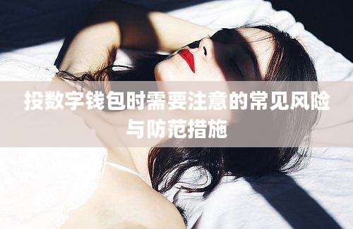 投数字钱包时需要注意的常见风险与防范措施