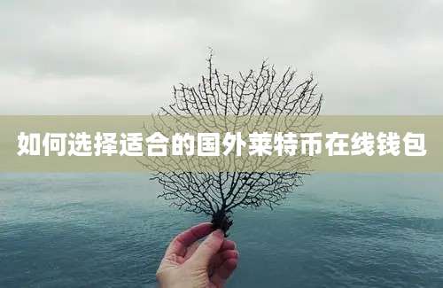 如何选择适合的国外莱特币在线钱包