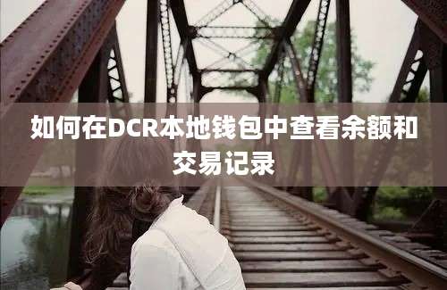 如何在DCR本地钱包中查看余额和交易记录