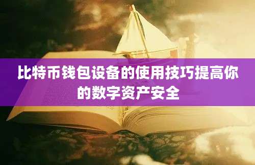 比特币钱包设备的使用技巧提高你的数字资产安全