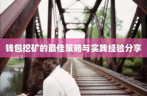 钱包挖矿的最佳策略与实践经验分享