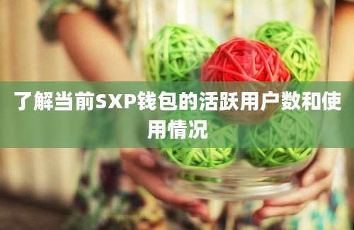 了解当前SXP钱包的活跃用户数和使用情况