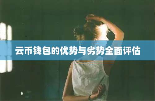 云币钱包的优势与劣势全面评估