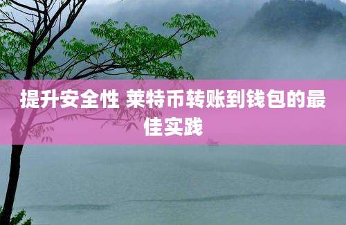提升安全性 莱特币转账到钱包的最佳实践