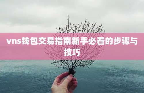 vns钱包交易指南新手必看的步骤与技巧
