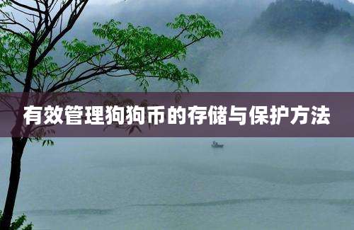 有效管理狗狗币的存储与保护方法