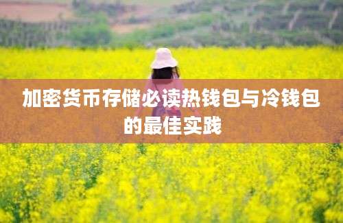 加密货币存储必读热钱包与冷钱包的最佳实践