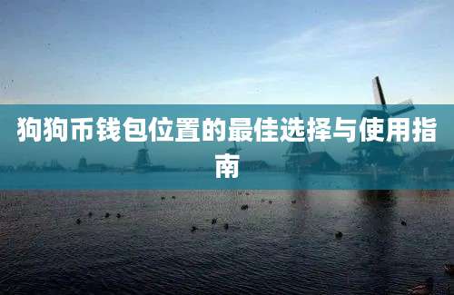 狗狗币钱包位置的最佳选择与使用指南