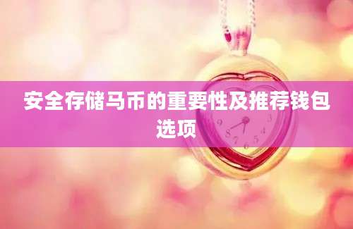 安全存储马币的重要性及推荐钱包选项