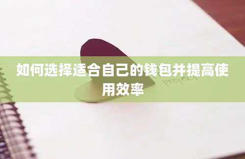 如何选择适合自己的钱包并提高使用效率