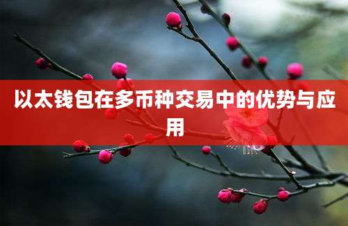 以太钱包在多币种交易中的优势与应用